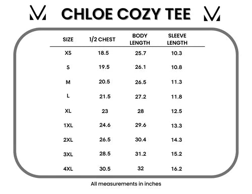 Chloe Cozy Tee size chart showing measurements in inches for sizes XS through 4XL including chest, body length, and sleeve length