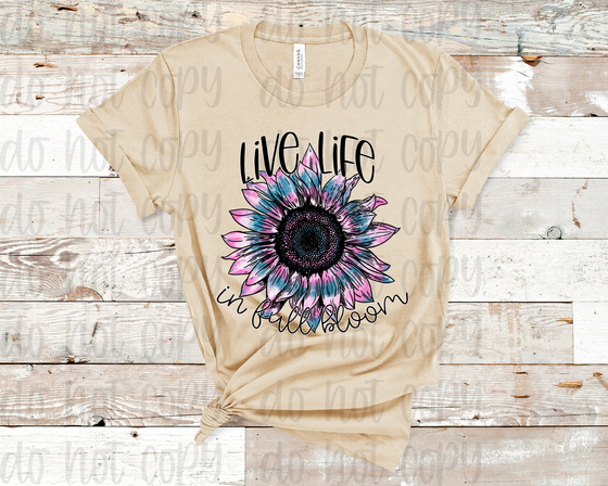 Live Life In Bloom Sunflower